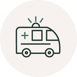 Icon inpatient acute care